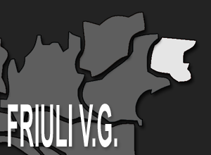 FVG